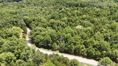 Amazing opportunity to build your dream house by Greers Ferry on Tannenbaum Golf Club in Arkansas - for sale on GolfHomes.com, golf home, golf lot