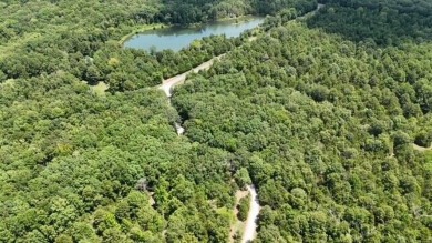 Amazing opportunity to build your dream house by Greers Ferry on Tannenbaum Golf Club in Arkansas - for sale on GolfHomes.com, golf home, golf lot