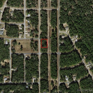 Great opportunity to own a homesite in the fast-growing on Citrus Springs Country Club in Florida - for sale on GolfHomes.com, golf home, golf lot