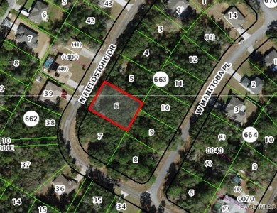Buildable Lot in Citrus Springs presenting an excellent on Pine Ridge Community Golf and Country Club in Florida - for sale on GolfHomes.com, golf home, golf lot