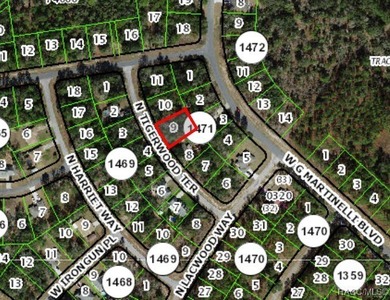 Buildable Lot in Citrus Springs presenting an excellent on Citrus Springs Country Club in Florida - for sale on GolfHomes.com, golf home, golf lot
