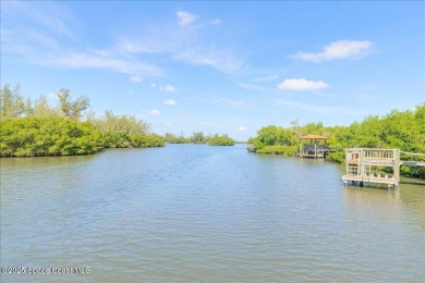NEW PRICE! Stunning riverfront estate-style pool home in the on Aquarina Beach and Country Club in Florida - for sale on GolfHomes.com, golf home, golf lot