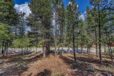This golf-course-adjacent parcel is ready for your dream on Tahoe Donner Golf Course in California - for sale on GolfHomes.com, golf home, golf lot