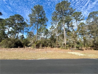 Gorgeous 1 acre homesite in Cooper's Point!! Perfect for your on Sapelo Hammock Golf Club in Georgia - for sale on GolfHomes.com, golf home, golf lot