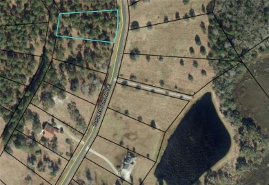 Gorgeous 1 acre homesite in Cooper's Point!! Perfect for your on Sapelo Hammock Golf Club in Georgia - for sale on GolfHomes.com, golf home, golf lot