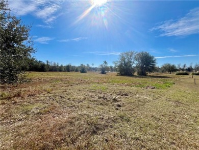 Gorgeous 1 acre homesite in Cooper's Point!! Perfect for your on Sapelo Hammock Golf Club in Georgia - for sale on GolfHomes.com, golf home, golf lot