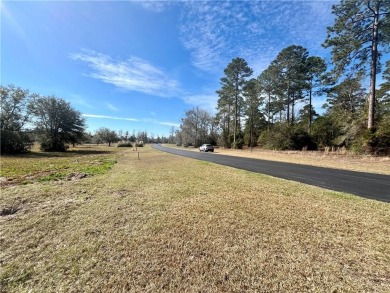 Gorgeous 1 acre homesite in Cooper's Point!! Perfect for your on Sapelo Hammock Golf Club in Georgia - for sale on GolfHomes.com, golf home, golf lot