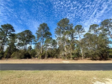 Gorgeous 1 acre homesite in Cooper's Point!! Perfect for your on Sapelo Hammock Golf Club in Georgia - for sale on GolfHomes.com, golf home, golf lot