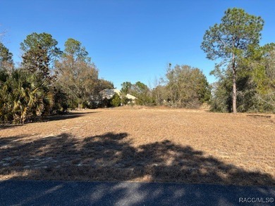 Build Your Dream Home in Black Diamond!! Discover this homesite on Black Diamond Ranch Golf Course in Florida - for sale on GolfHomes.com, golf home, golf lot
