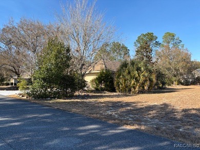 Build Your Dream Home in Black Diamond!! Discover this homesite on Black Diamond Ranch Golf Course in Florida - for sale on GolfHomes.com, golf home, golf lot
