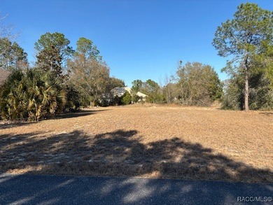 Build Your Dream Home in Black Diamond!! Discover this homesite on Black Diamond Ranch Golf Course in Florida - for sale on GolfHomes.com, golf home, golf lot