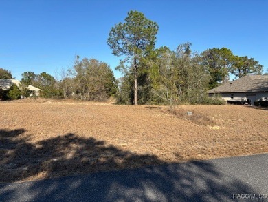 Build Your Dream Home in Black Diamond!! Discover this homesite on Black Diamond Ranch Golf Course in Florida - for sale on GolfHomes.com, golf home, golf lot