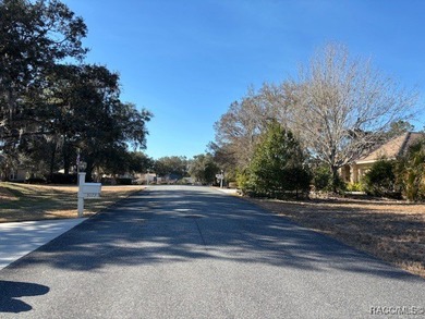 Build Your Dream Home in Black Diamond!! Discover this homesite on Black Diamond Ranch Golf Course in Florida - for sale on GolfHomes.com, golf home, golf lot