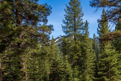 GOLF MEMBERSHIP AVAILABLE.  This expansive 3.46 acre lot is on Martis Camp Golf Course in California - for sale on GolfHomes.com, golf home, golf lot