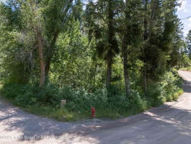 This beautifully treed half acre lot is just a short walking on Star Valley RV Golf Course in Wyoming - for sale on GolfHomes.com, golf home, golf lot