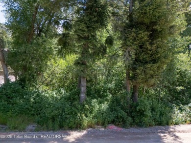 This beautifully treed half acre lot is just a short walking on Star Valley RV Golf Course in Wyoming - for sale on GolfHomes.com, golf home, golf lot