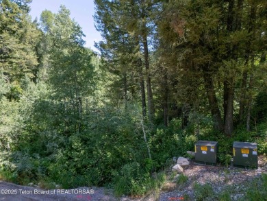 This beautifully treed half acre lot is just a short walking on Star Valley RV Golf Course in Wyoming - for sale on GolfHomes.com, golf home, golf lot