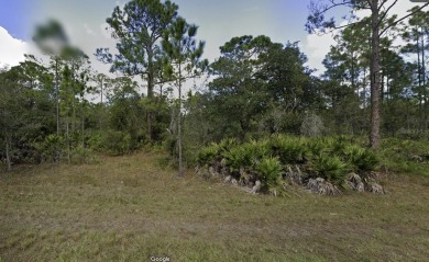 Come build your forever home on this one-half acre lot that on Indian Lake Estates Golf and Country Club in Florida - for sale on GolfHomes.com, golf home, golf lot