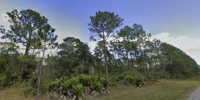 Come build your forever home on this one-half acre lot that on Indian Lake Estates Golf and Country Club in Florida - for sale on GolfHomes.com, golf home, golf lot