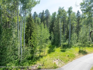 Teton Springs is a private golf and fly-fishing community on Teton Springs Resort and Club in Idaho - for sale on GolfHomes.com, golf home, golf lot