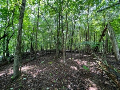 Beautiful, wooded lot in the community of Lakeland Golf Course on Baneberry Golf and Resort Club in Tennessee - for sale on GolfHomes.com, golf home, golf lot