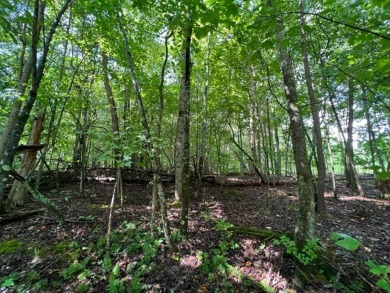Beautiful, wooded lot in the community of Lakeland Golf Course on Baneberry Golf and Resort Club in Tennessee - for sale on GolfHomes.com, golf home, golf lot