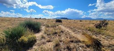 Experience the beauty of Colorado with 166+ acres of stunning on Walsenburg Golf Club in Colorado - for sale on GolfHomes.com, golf home, golf lot