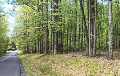 This 5.7acre lot is a great location for a getaway or fulltime on Wintergreen Golf Course and Resort in Virginia - for sale on GolfHomes.com, golf home, golf lot