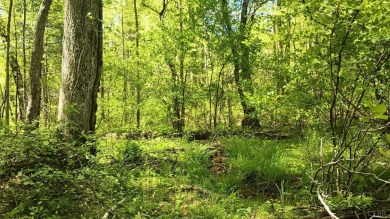 This 5.7acre lot is a great location for a getaway or fulltime on Wintergreen Golf Course and Resort in Virginia - for sale on GolfHomes.com, golf home, golf lot