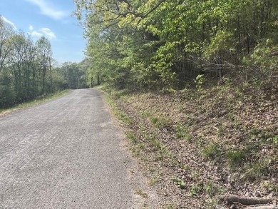 Don't miss your chance to see this wonderful upsloping lot in on Holiday Island Executive Golf Course in Arkansas - for sale on GolfHomes.com, golf home, golf lot