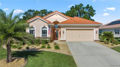 Amazing value-don't miss this opportunity, as you truly can't on Skyview At Terra Vista Golf and Country Club in Florida - for sale on GolfHomes.com, golf home, golf lot