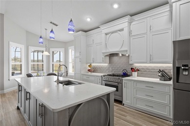 Amazing value-don't miss this opportunity, as you truly can't on Skyview At Terra Vista Golf and Country Club in Florida - for sale on GolfHomes.com, golf home, golf lot