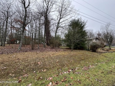 This 3 bedroom, 2.5 bathroom west-facing ranch home in the on Stonehenge Golf Course in Tennessee - for sale on GolfHomes.com, golf home, golf lot