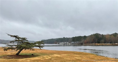 NEW PRICE/NEW PAINT AND CARPET/THIS HOME IS PRICED BELOW TAX on Carolina Trace Country Club in North Carolina - for sale on GolfHomes.com, golf home, golf lot