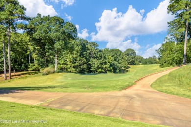 You can't build any closer to Harbor Pointe Marina  in on Stillwaters Golf and Country Club in Alabama - for sale on GolfHomes.com, golf home, golf lot