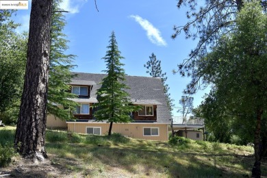 Location, location, location! Beautiful mid-century modern on Pine Mountain Lake Country Club in California - for sale on GolfHomes.com, golf home, golf lot