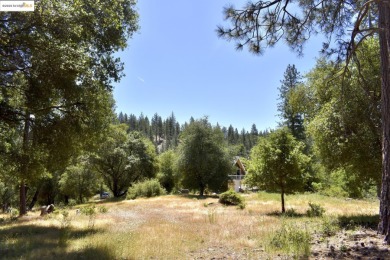 Location, location, location! Beautiful mid-century modern on Pine Mountain Lake Country Club in California - for sale on GolfHomes.com, golf home, golf lot