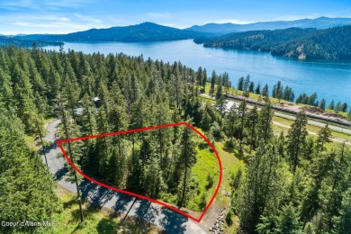 Lake views and city lights from every room in the house. Sale on Gozzer Ranch Golf and Lake Club in Idaho - for sale on GolfHomes.com, golf home, golf lot