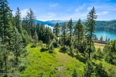 Lake views and city lights from every room in the house. Sale on Gozzer Ranch Golf and Lake Club in Idaho - for sale on GolfHomes.com, golf home, golf lot