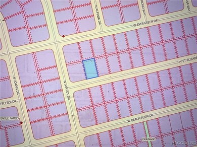 Rare oversized 0.23-acre homesite with water access in the heart on Citrus Springs Country Club in Florida - for sale on GolfHomes.com, golf home, golf lot