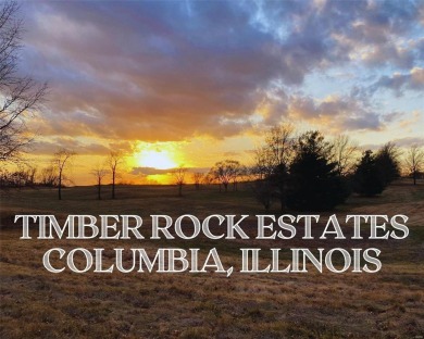 Welcome to TIMBER ROCK ESTATES. This beautiful, one-of-a-kind on Fairfield Golf Club in Illinois - for sale on GolfHomes.com, golf home, golf lot