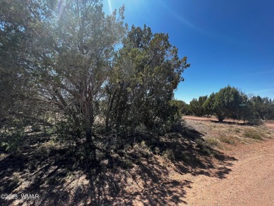 **Will Owner Carry!!** Beautiful 1.24 acre lot in White Mountain on Silver Creek Golf Club in Arizona - for sale on GolfHomes.com, golf home, golf lot