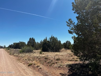 **Will Owner Carry!!** Beautiful 1.24 acre lot in White Mountain on Silver Creek Golf Club in Arizona - for sale on GolfHomes.com, golf home, golf lot