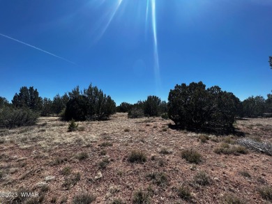 **Will Owner Carry!!** Beautiful 1.24 acre lot in White Mountain on Silver Creek Golf Club in Arizona - for sale on GolfHomes.com, golf home, golf lot