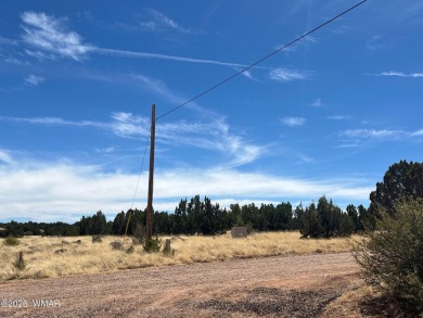 **Passed perk test for traditional system!** Beautiful 1.24 acre on Silver Creek Golf Club in Arizona - for sale on GolfHomes.com, golf home, golf lot
