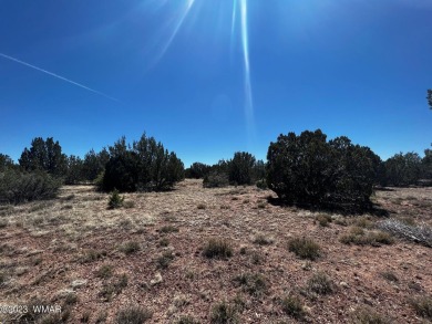**Passed perk test for traditional system!** Beautiful 1.24 acre on Silver Creek Golf Club in Arizona - for sale on GolfHomes.com, golf home, golf lot