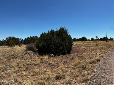 **Price Dropped!** Beautiful 1.24 acre lot in White Mountain on Silver Creek Golf Club in Arizona - for sale on GolfHomes.com, golf home, golf lot