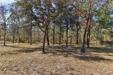 This stunning Move-In Ready 4-bedroom 2-bath POOL home was built on Sugarmill Woods Golf and Country Club in Florida - for sale on GolfHomes.com, golf home, golf lot