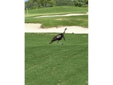 Here Is A Chance To Own The Very Sought After Top Floor Coach on Panther Run Golf Club in Florida - for sale on GolfHomes.com, golf home, golf lot