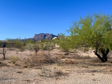 Beautiful gentle sloping hillside lot overlooking double on Superstition Mountain Club - Lost Gold in Arizona - for sale on GolfHomes.com, golf home, golf lot